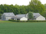 mdaillon